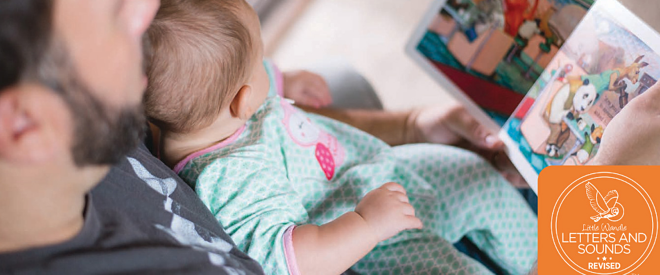 Infant child reading a cartoon book on their parents lap